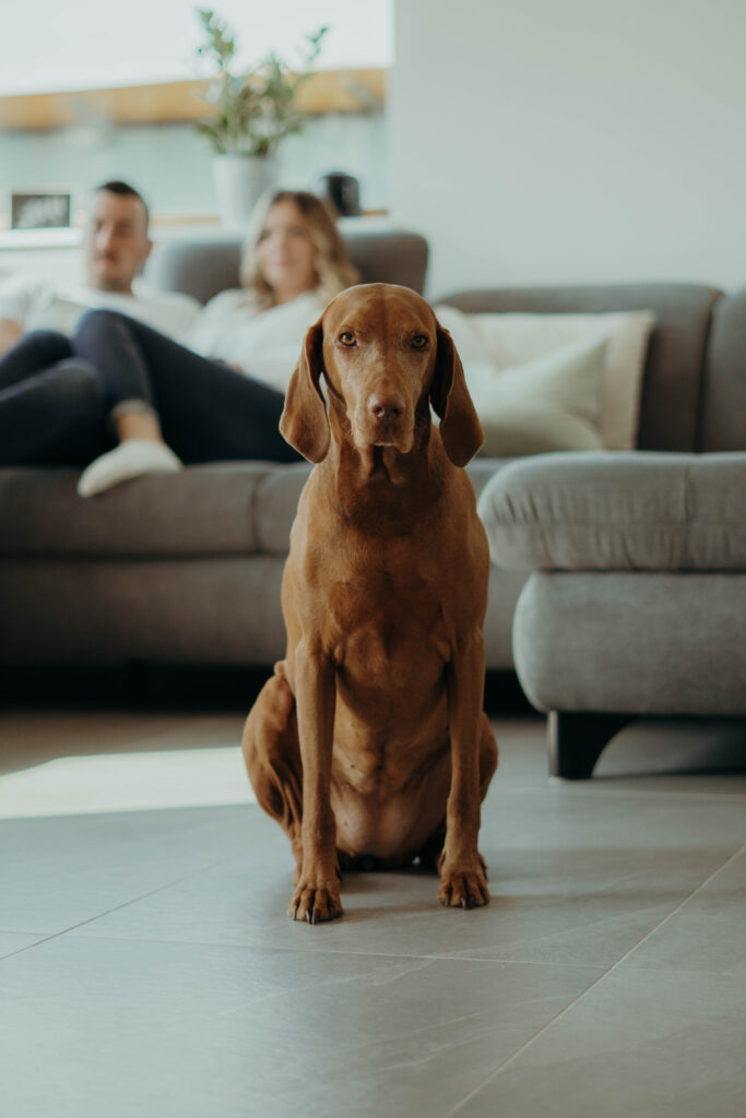 Pärchenfoto mit Hund