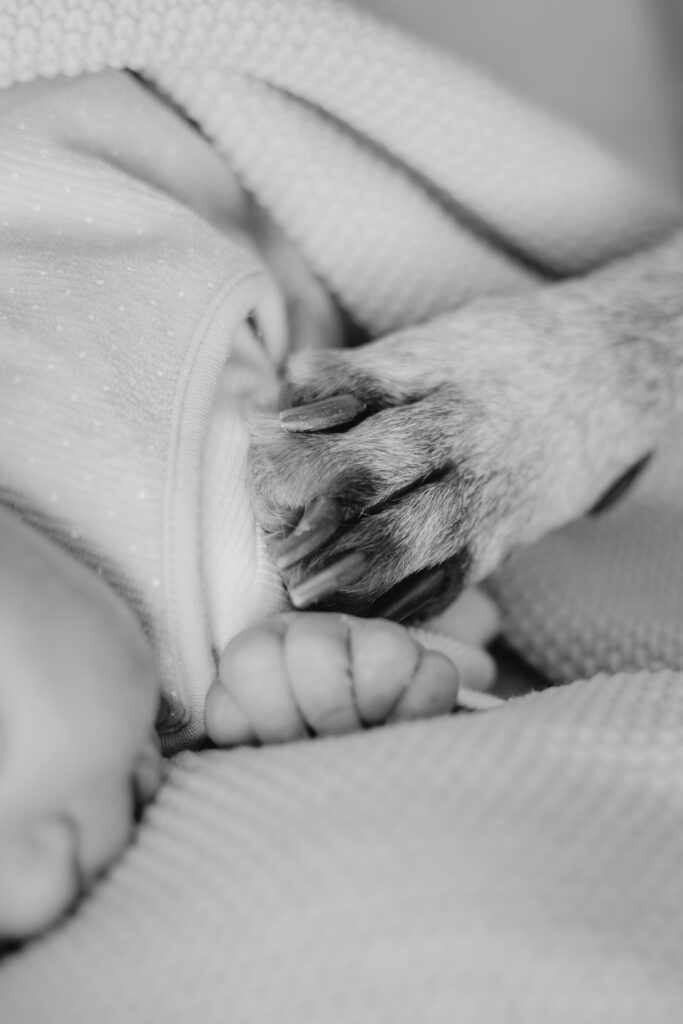 Kleines Wunder beim Newbornshooting