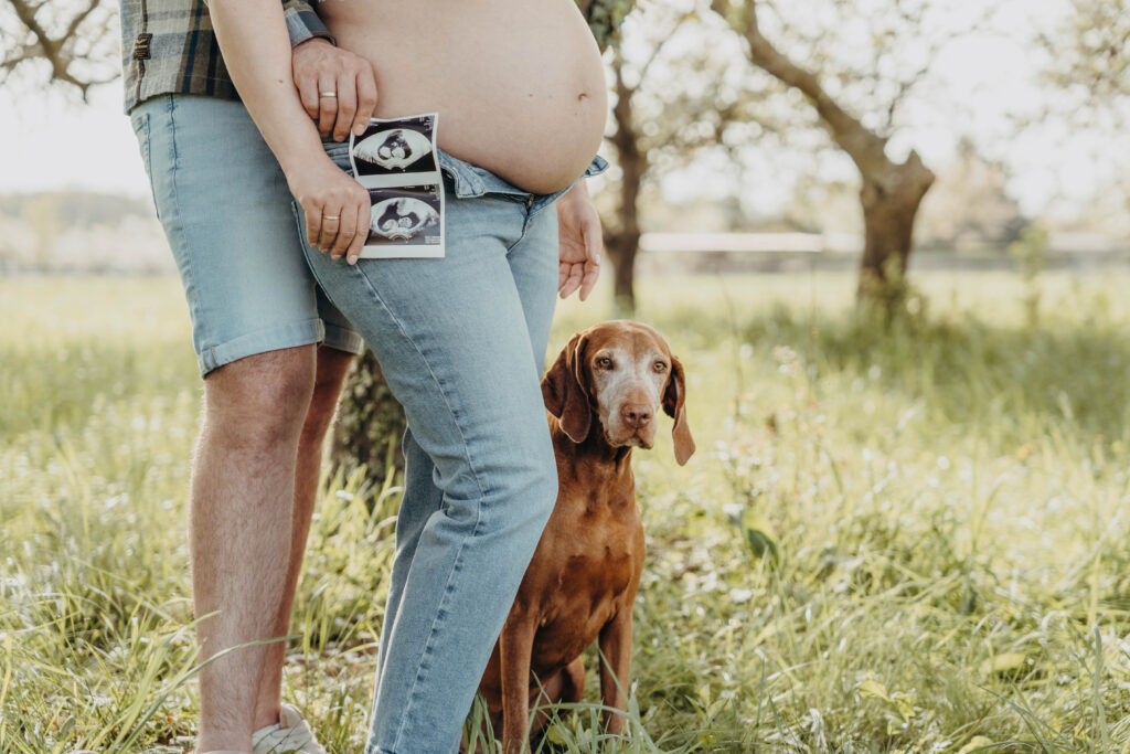 Babybauchshooting mit Hund
