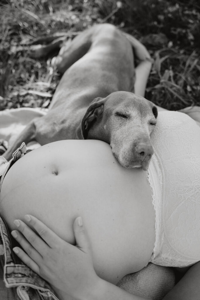 Babybauchshooting mit Hund
